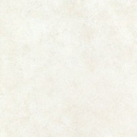 G559213 Perlino Ivory 50x50 (A)