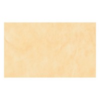 30x50 leather amarillo 30x50 leather amarillo