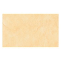 30x50 leather amarillo