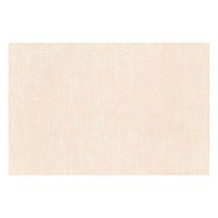 33x50 midas light beige