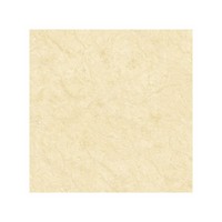 40x40 xenon crema