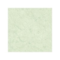 40x40 xenon green