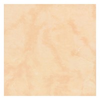 50x50 canary orca 50x50 canary orca