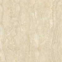 allysa olive 50x50 allysa olive 50x50