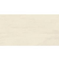 delano-bone-25x50 delano-bone-25x50